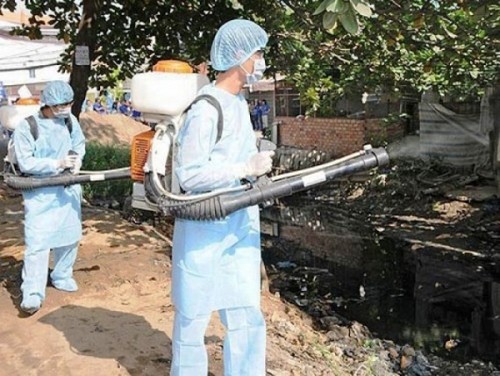 Dịch vụ diệt mối mọt nhà ở, di tích,công trình xây dựng